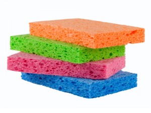 Dish sponges are a central hub for bacteria. Don't throw your sponges away, you can kill the bacteria in just a couple minutes!